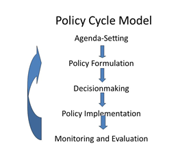 policy steps model making process cycle politics american decision